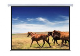 Projector Electronic Screen 300" LC-PSAC-300