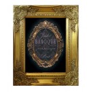Framed Art Le Jardin Baroque